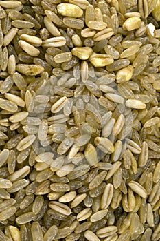 Cereal bio mix grains
