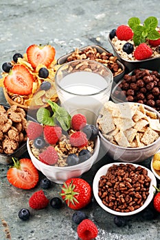 Cereal. Bowls of various cereals, berries and milk for breakfast. Muesli with kids cereals