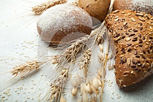 Cereal bread made from wheat and dark flour, spikelets and wheat grains on an old white background