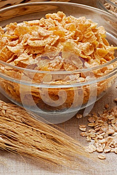 Cereal corn flakes bowl and corn wheat spikes