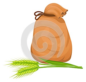 Cereal crop seeds sack and green ear. Farm plant