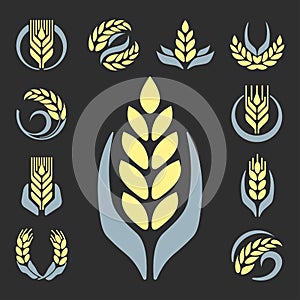 Cereal ears and grains agriculture industry or logo badge design vector food illustration organic natural symbol