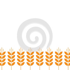 Cereal field. Ears of wheat. Agriculture straw. Orange rye grass. Place for text. Copy space. Background wheat boarder frame