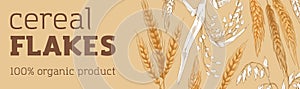 Cereal flakes banner design. Organic grain food, product, advertising horizontal background. Bread, bakery promotion