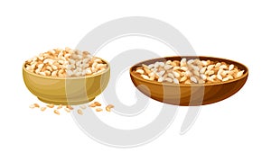 Cereal grains set. Wooden bowls of wheat, barley or rye grains vector illustration