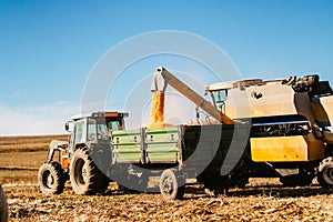 Cereal harvester using tractor and transporting harvest