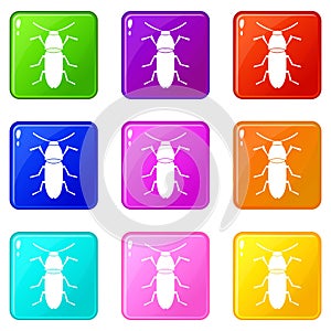 Cereal leaf beetle set 9