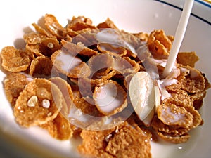 Cereal, Milk Pouring In