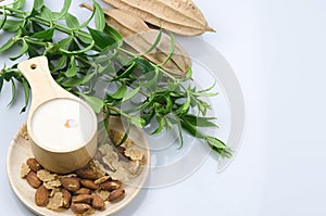 Cereal and nuts with milk in the wooden small bowl on white ground with green leaf and dried gourd