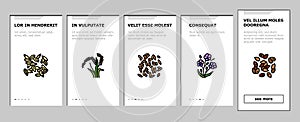 cereal plant healthy food onboarding icons set vector