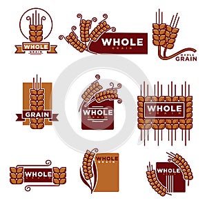 Cereal and whole grain bakery product vector icons templates set