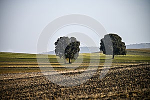 Cerealistic landscape of the Granada Geopark. photo