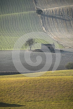 Cerealistic landscape of the Granada Geopark. photo