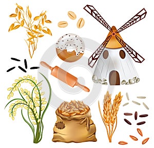 Cereals barley, ears of wheat and windmill, rice, bakery products, sack with wheat, oats on white background