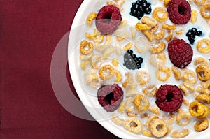 Cereals blackberries raspberries and milk 06