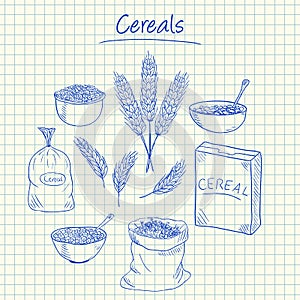 Cereals doodles - squared paper photo