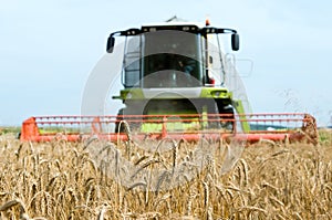 Cereals field and combine at