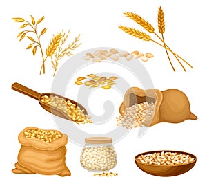 Cereals or Grain Crops with Dry Seeds in Sack Vector Set