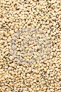 Cereals from grains for proper nutrition close-up top view