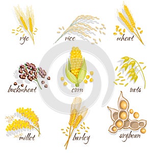 Cereals Icon Set