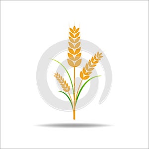 Cereals icon set. Concept for organic products label, harvest and farming, grain, bakery, healthy food.