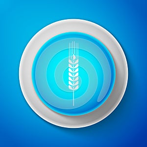 Cereals icon set with rice, wheat, corn, oats, rye, barley sign isolated on blue background. Ears of wheat bread symbols