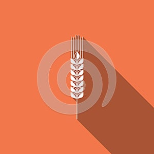 Cereals icon set with rice, wheat, corn, oats, rye, barley sign isolated with long shadow. Ears of wheat bread symbols