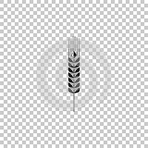 Cereals icon set with rice, wheat, corn, oats, rye, barley sign isolated on transparent background. Ears of wheat bread