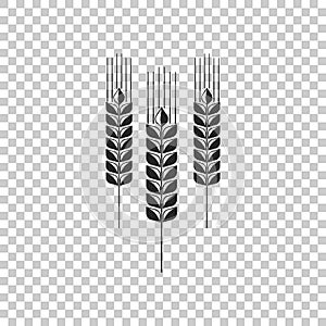 Cereals icon set with rice, wheat, corn, oats, rye, barley sign isolated on transparent background. Ears of wheat bread