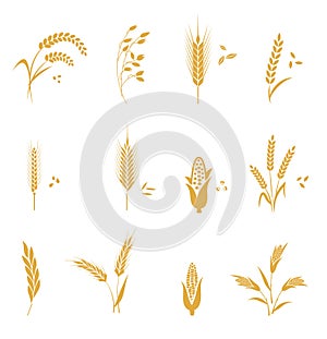 Cereals icon set with wheat.