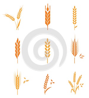 Cereals icon set with wheat.