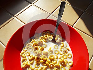 Cereals with milk