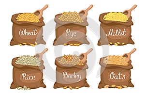 Cereals set. Linen bags with grains wheat, rye, oats, rice, barley, millet. Harvest, agriculture. Illustrationtor