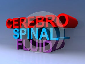 Cerebro spinal fluid photo