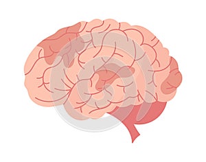 Cerebrovascular Brain Disease