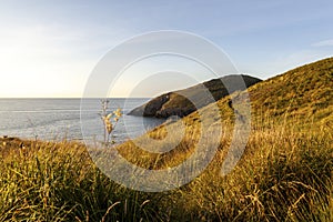 Ceredigion Coastal Path Views