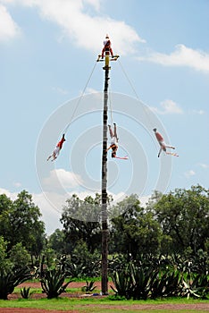 Ceremonia del Volador, Mexico photo