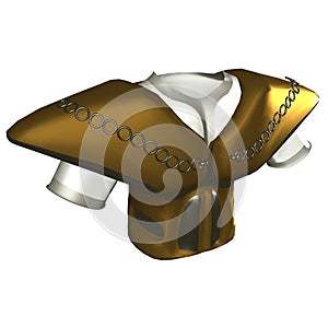 Ceremonial Brestplate