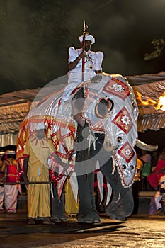A ceremonial elephant carrying the Gajanayake Nilame moves through the streets of Kandy during the Esala Perahera in Sri Lanka.