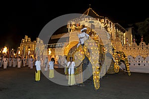 Ceremonial elephants parade during the Esala Perahera.