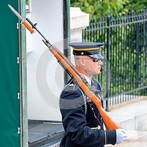 Ceremonial guard at the Tomb of the Unknown at Arlington Nation