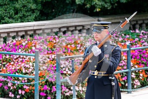 Ceremonial guard at the Tomb of the Unknown Soldier at Arlington National Cemetery