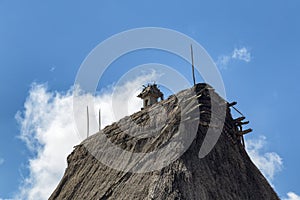 Ceremonial Statue in Bena photo