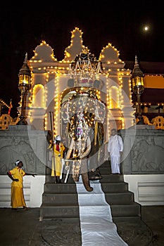 The Ceremonial Tusker exits the Temple pof the Sacred Tooth Relic in Kandy in Sri Lanka during the Esala Perahera.