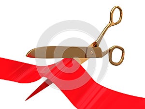 Ceremony scissors