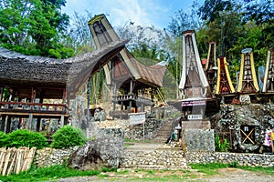 Ceremony site with megaliths. Bori Kalimbuang. Tana Toraja. Indonesia photo