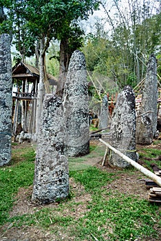 Ceremony site with megaliths. Bori Kalimbuang. Tana Toraja. Indonesia photo