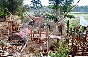 Ceremony site with megaliths. Bori Kalimbuang. Tana Toraja. Indonesia photo