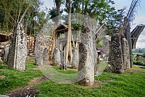 Ceremony site with megaliths. Bori Kalimbuang. Tana Toraja. Indonesia photo
