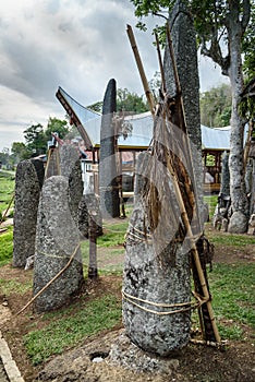 Ceremony site with megaliths. Bori Kalimbuang. Tana Toraja. Indonesia photo